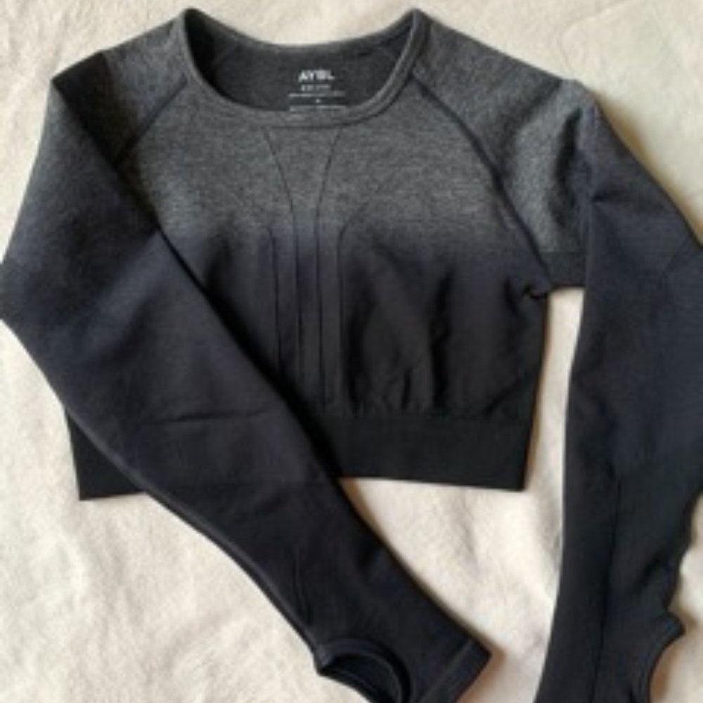 AYBL Pulse Ombré Seamless Long Sleeve Crop Top